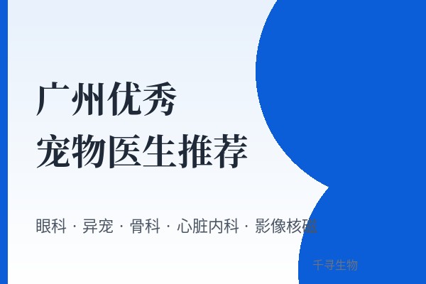 广州优秀宠物医生推荐