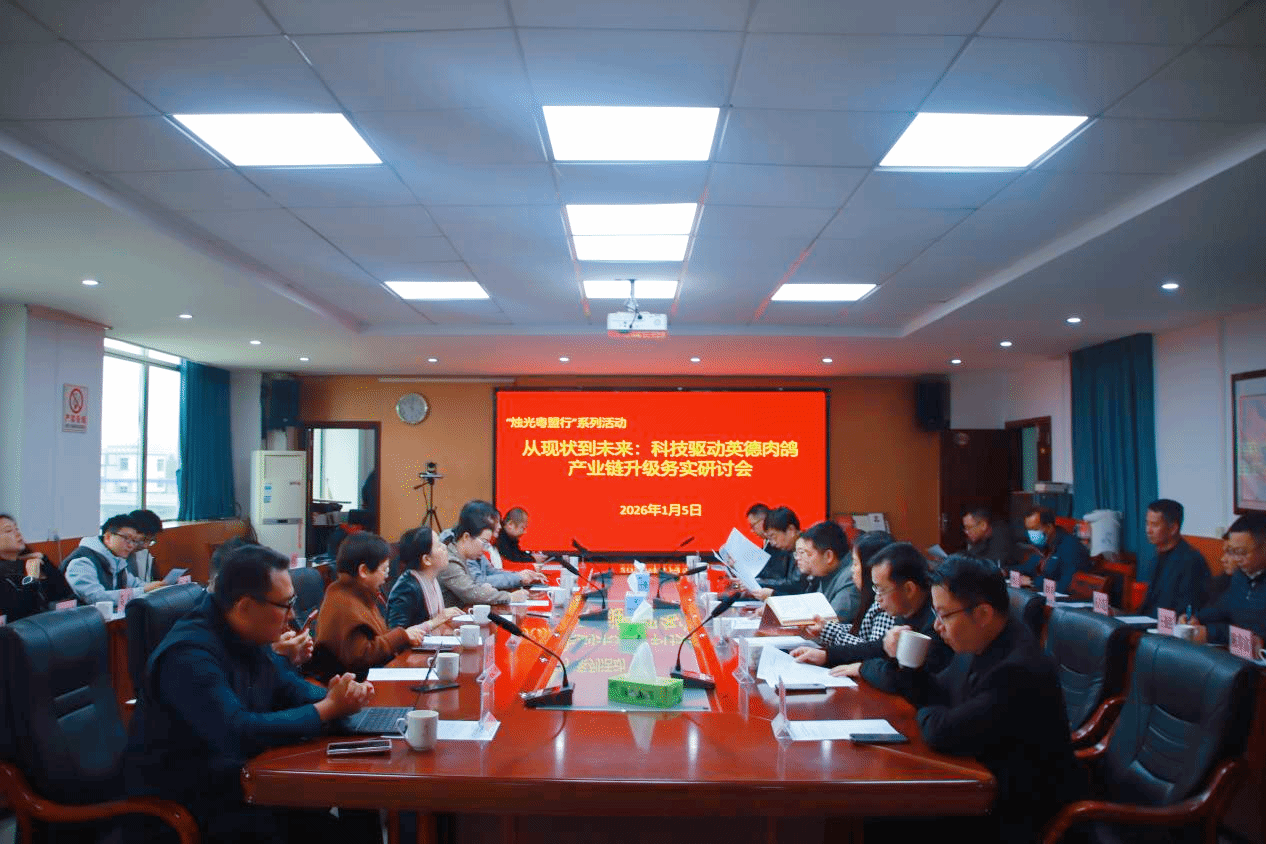 英德肉鸽产业链升级专题研讨会现场